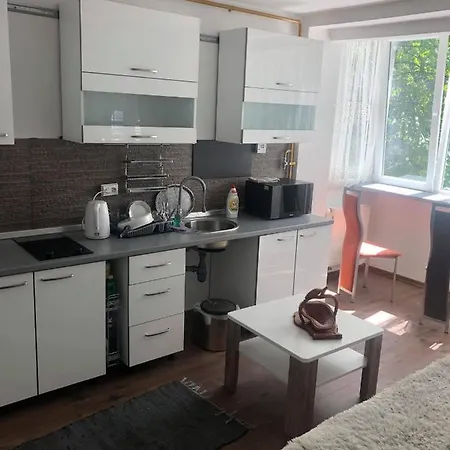 Apartment In The Center Of The Old City, Budzak 14 *